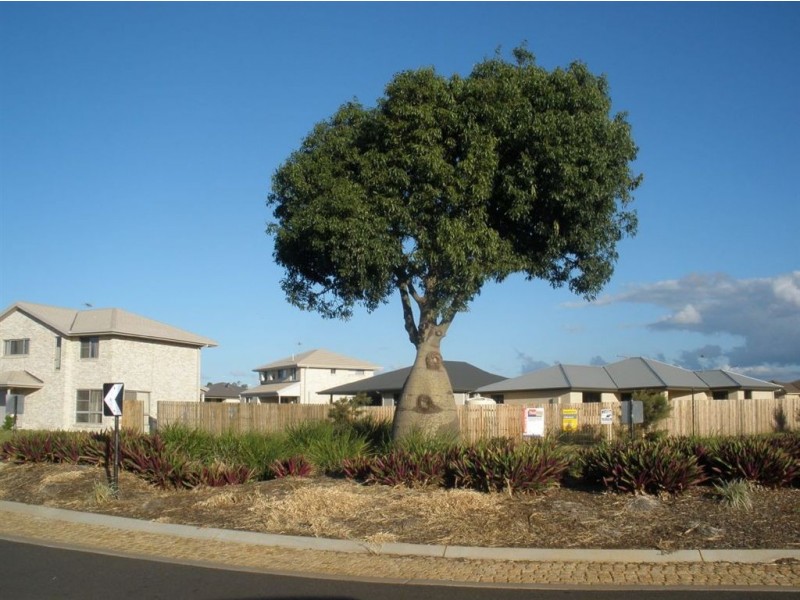 10/54 Lillypilly Ave, Gracemere QLD 4702