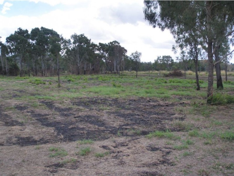 Lot 201 Wiseman St, Kabra QLD 4702