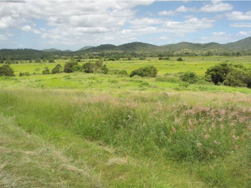 31 Duncan Rd, Marmor QLD 4702