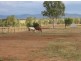 180 Lucas Street, Gracemere QLD 4702