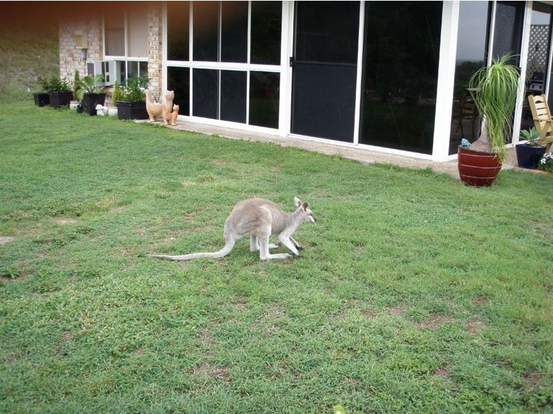 213 Marmor Road, Marmor QLD 4702