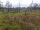 Lot 4 leichhardt Hwy, Dululu QLD 4702