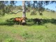 94 Hopkins Rd, Stanwell QLD 4702