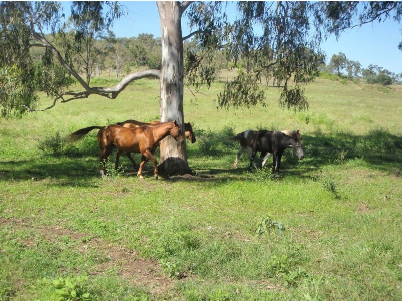 94 Hopkins Rd, Stanwell QLD 4702