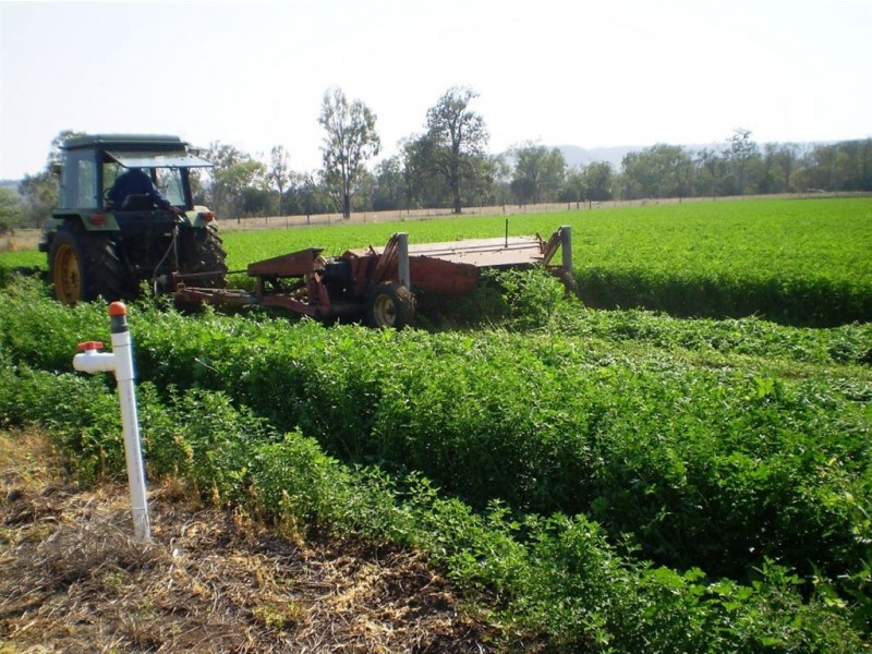 1263 Valentine Plains Rd, Biloela QLD 4715