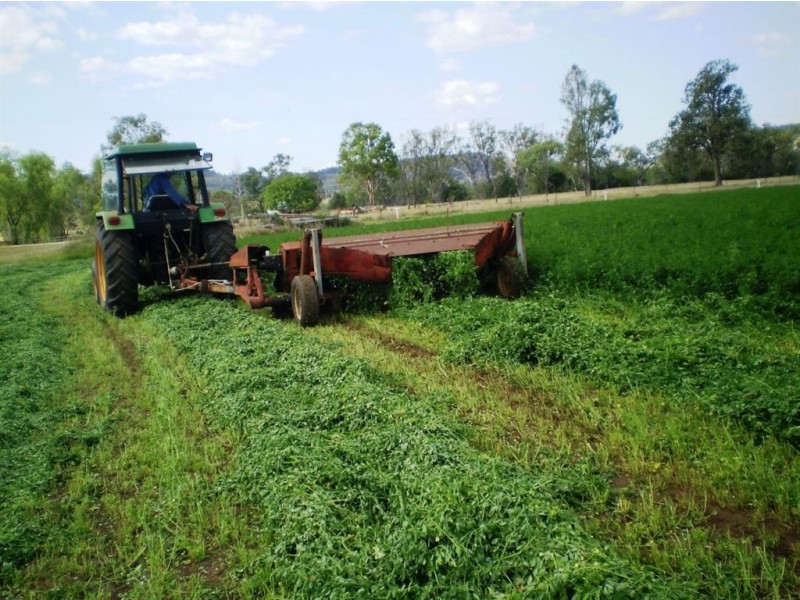 1263 Valentine Plains Rd, Biloela QLD 4715