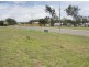 4 Alexander Crt, Gracemere QLD 4702