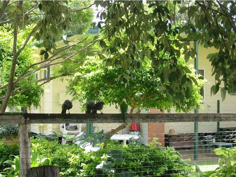 633A Nine Mile Road, Alton Downs QLD 4702