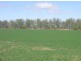 1155 Jambin Dakenba Rd, Biloela QLD 4715