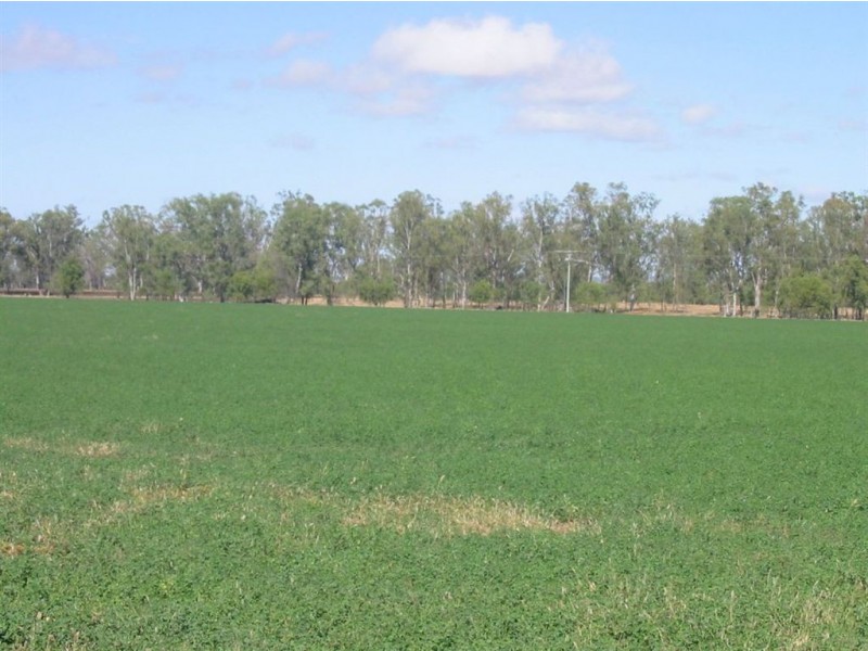 1155 Jambin Dakenba Rd, Biloela QLD 4715