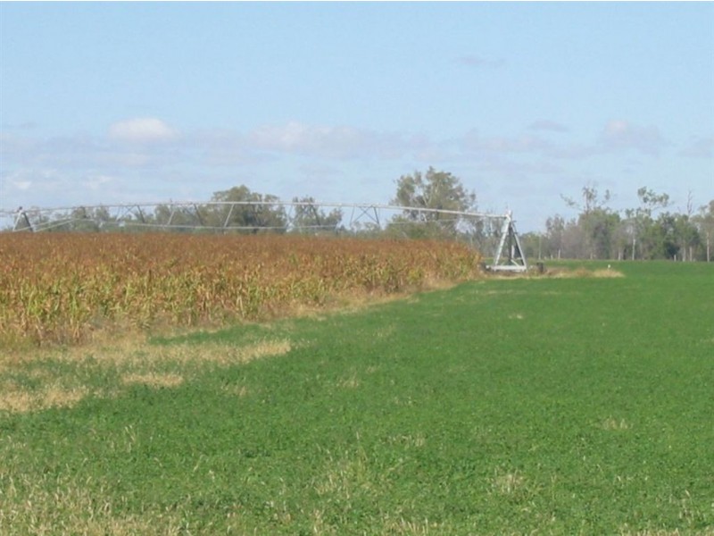 Lot 46 Jambin Dakenba Rd, Biloela QLD 4715