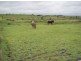Lot 3 McKenzie Rd, Alton Downs QLD 4702