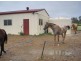 Lot 3 McKenzie Rd, Alton Downs QLD 4702