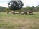 585 Oakey Creek Road, Mount Morgan QLD 4714
