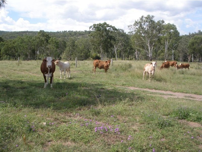 585 Oakey Creek Road, Mount Morgan QLD 4714
