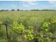 1367a Ridgelands Road, Alton Downs QLD 4702