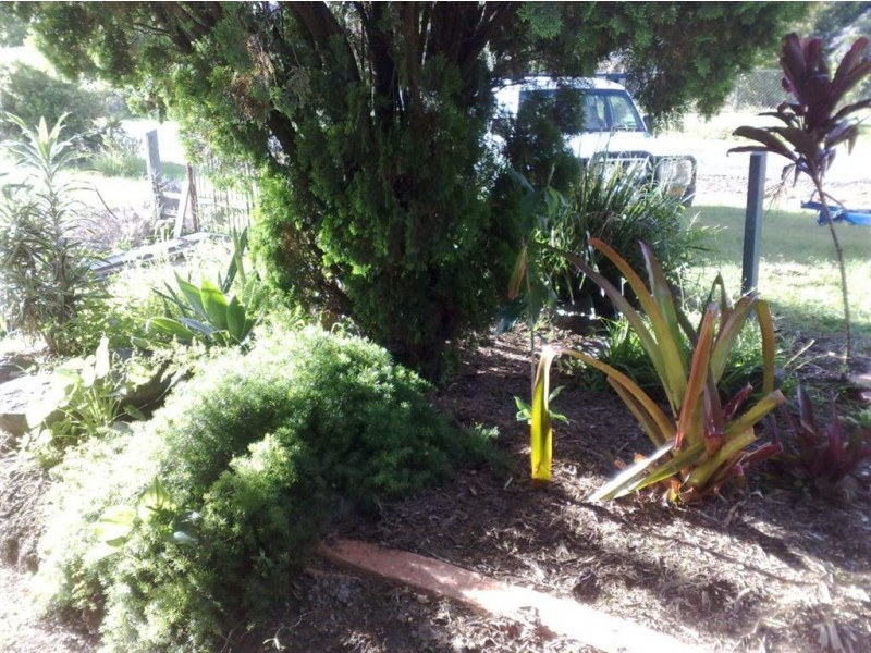 17 Grey, Mount Morgan QLD 4714