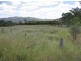 Marmor QLD 4702