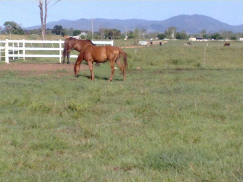 1203 Ridgelands Rd, Alton Downs QLD 4702