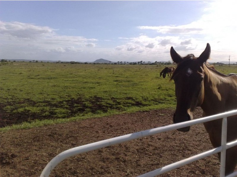 1203 Ridgelands Rd, Alton Downs QLD 4702