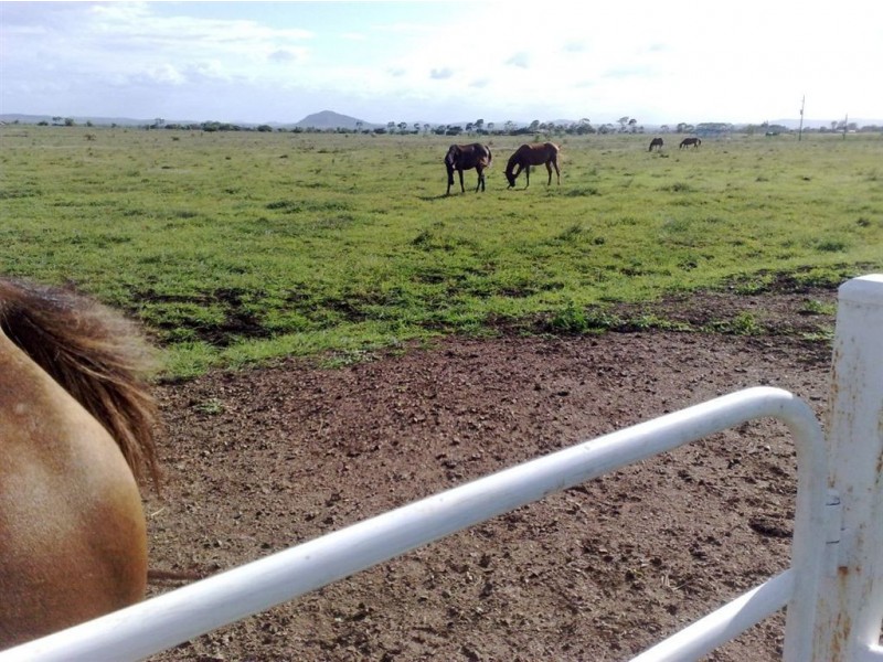 1203 Ridgelands Rd, Alton Downs QLD 4702