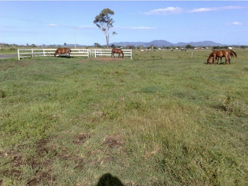 1203 Ridgelands Rd, Alton Downs QLD 4702