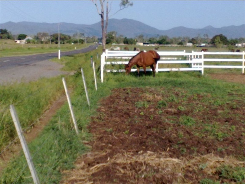 1203 Ridgelands Rd, Alton Downs QLD 4702