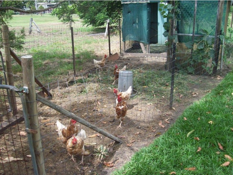 58 Jones Street, Wandal QLD 4700