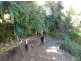 16 usher, Mount Morgan QLD 4714