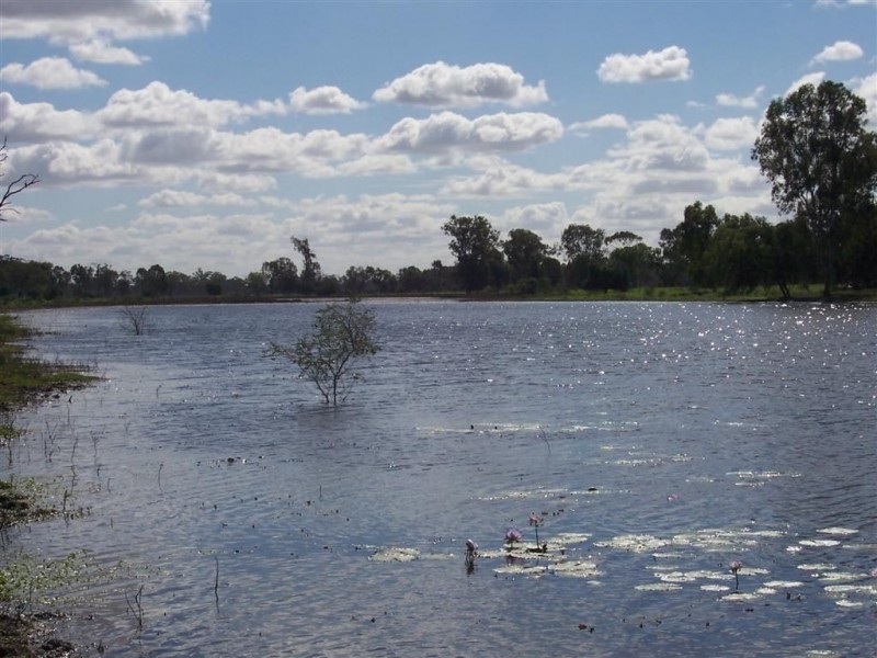 473 Nine Mile Road, Alton Downs QLD 4702