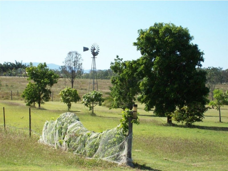 113 Cherryfields Rd, Gracemere QLD 4702