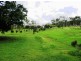 679 Yeppoon Road, Limestone Creek QLD 4701