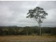 375 Struck Oil rd, Mount Morgan QLD 4714