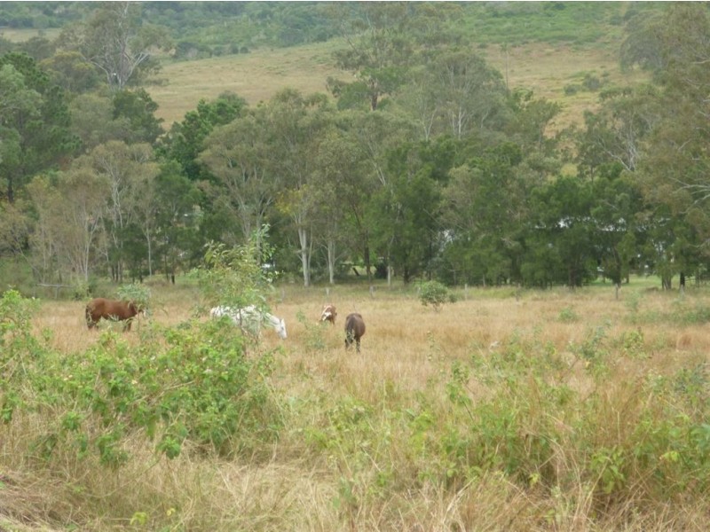 375 Struck Oil rd, Mount Morgan QLD 4714