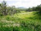 Limestone Creek QLD 4701