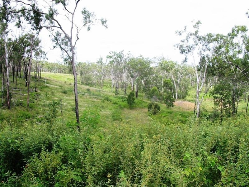 Limestone Creek QLD 4701