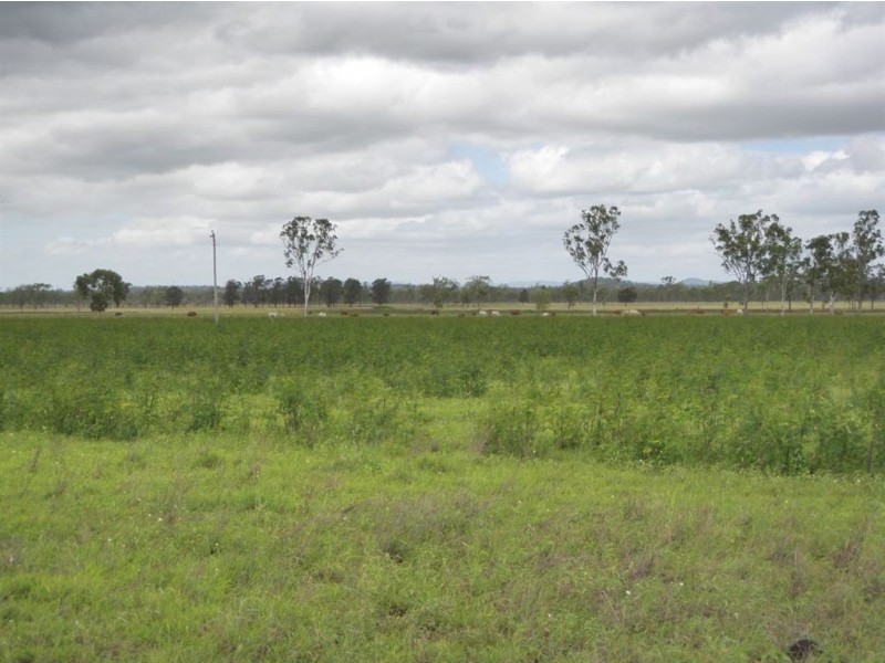 Alton Downs QLD 4702