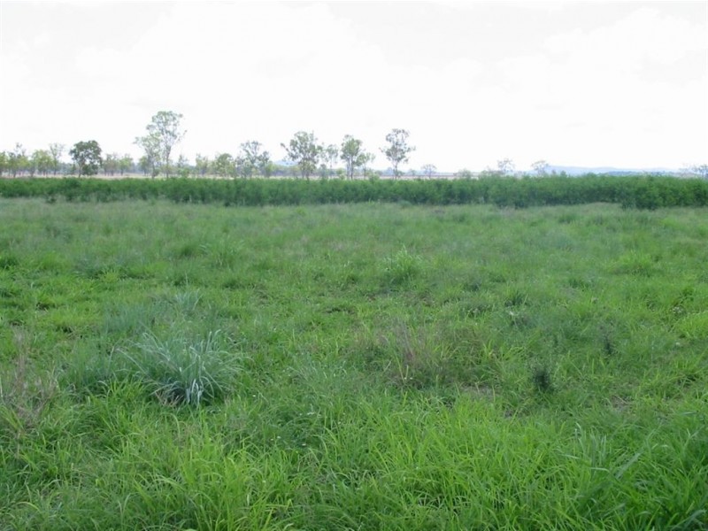 Alton Downs QLD 4702