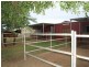 1149 Ridgelands Rd, Alton Downs QLD 4702