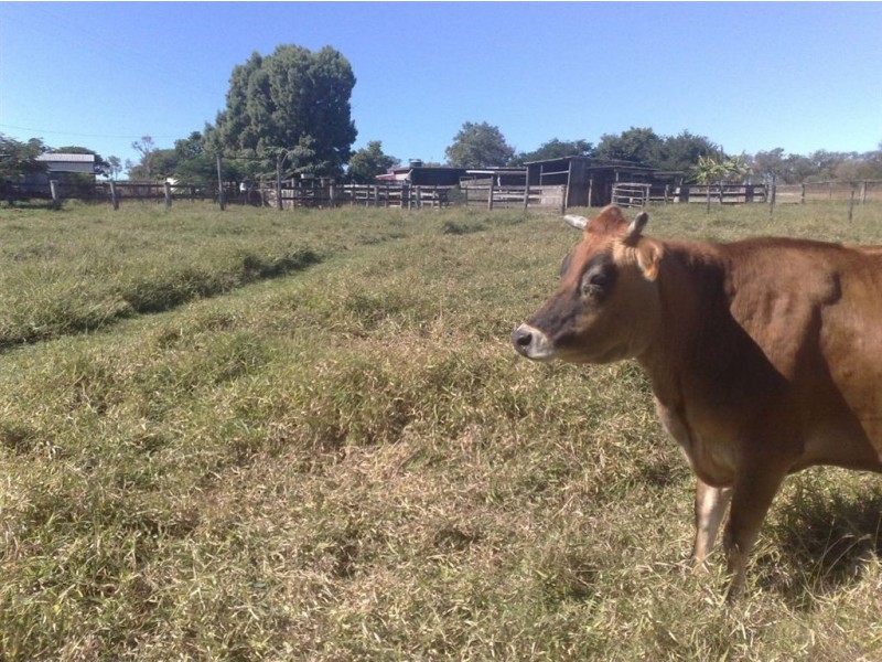 27 J PIERCE RD, Bouldercombe QLD 4702