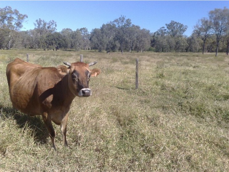 27 J PIERCE RD, Bouldercombe QLD 4702