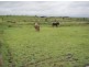 Lot 3 McKenzie Road, Alton Downs QLD 4702