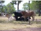 6301 Capricorn Highway, Gogango QLD 4702
