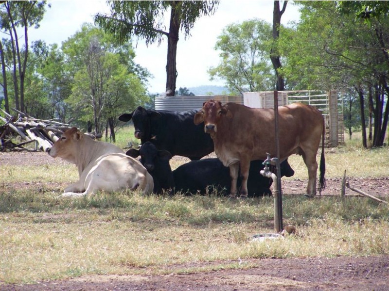 6301 Capricorn Highway, Gogango QLD 4702