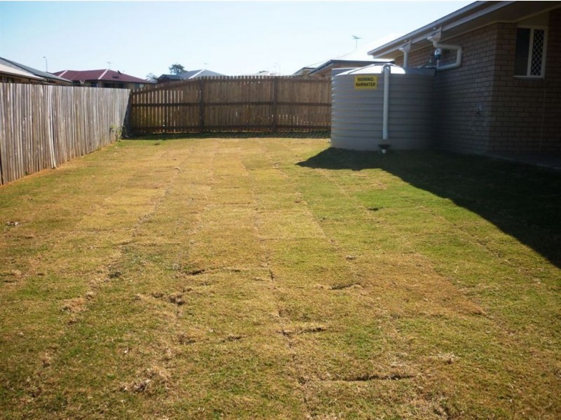 41 Riley Drive, Gracemere QLD 4702
