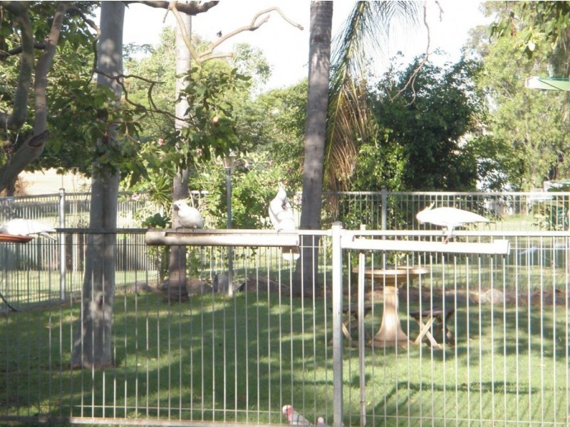 121 Victoria Street, Gracemere QLD 4702