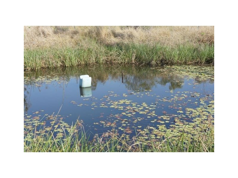 Rockhampton QLD 4700