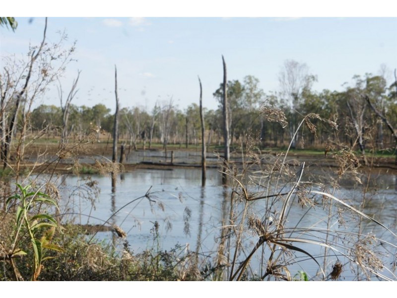 Rockhampton QLD 4700