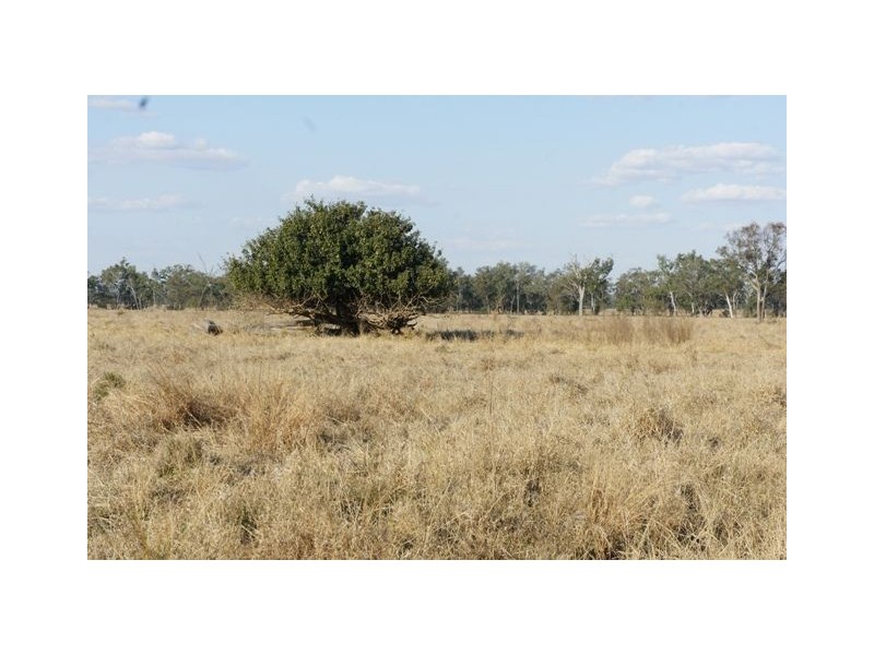 Rockhampton QLD 4700