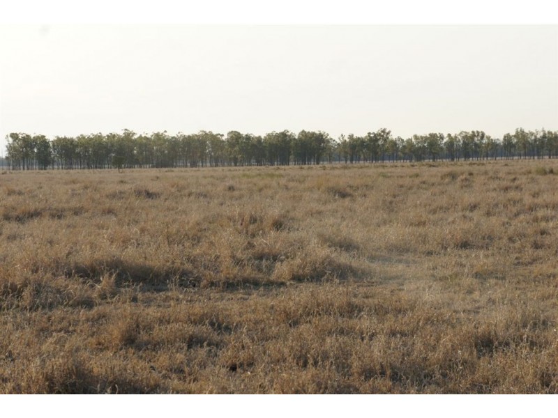 Rockhampton QLD 4700